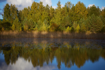 Fototapeta na wymiar Autumn forrest reflecting in the lake, selective focus