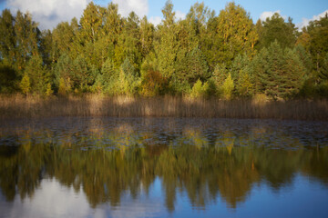 Fototapeta na wymiar Autumn forrest reflecting in the lake, selective focus