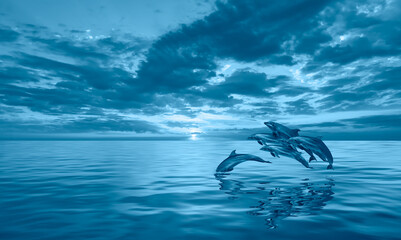 Group of dolphins jumping on the water - Beautiful seascape and blue sky