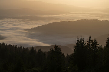 Beautiful landscape of morning foggy of the Carpathian mountains on a sunny day in summer. Western Ukraine, Europe