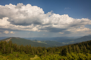 Beautiful hilly area on a sunny day in summer. Picturesque scene in the Carpathians mountains, Ukraine