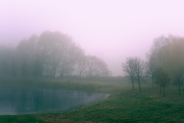 Obraz na płótnie Canvas November morning landscape. Autumn foggy park with a lake.