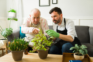 Caucasian man doing gardening and relaxing with his old elderly father