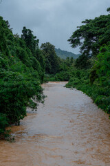Fototapeta na wymiar Wild water flows after new rain.