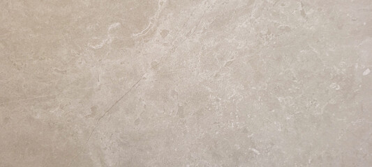 light rustic wood background with dark veins on natural panel