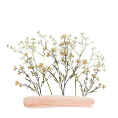 Fototapeta premium Flowers illustration background.
