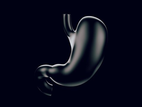 Human stomach made of glass. 3d rendering of transparent stomach over black background