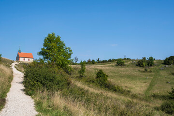 View of the Ehrenb&uuml;rg with the Walburgis chapel on the high plateau