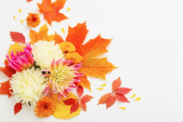 Fototapeta na wymiar autumn leaves and flowers composition on white background