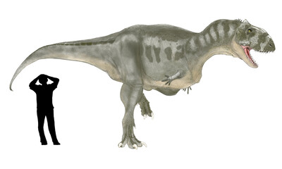 マジュンガサウルス　白亜紀後期の終り頃、現在のマダガスカルに生息していた恐竜。ケラトサウルス下目の獣脚類でアベリサウルス科。学名はマダガスカルの州都であるマジュンガ州の近くで発見されたことに因んでいる。ティラノサウルスのようなセレーションの刻まれたステーキ用ナイフのような歯を持っていた。頑丈な頸椎、軽量化された骨格をもち、全長8メートルの体格と強い筋力があり大型の獲物を捕食。 - obrazy, fototapety, plakaty