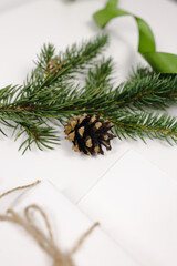 Christmas tree cone and green branch