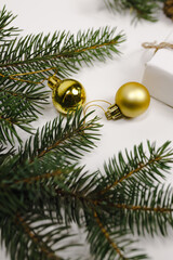 Fototapeta na wymiar Christmas golden toys with a green branch