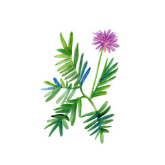 Watercolor illustration of an indoor plant in a flower pot. House plants and garden flowers in pots. Decorative garden flowers for office and home decor, potted flower