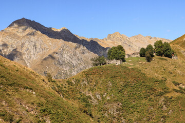 Fototapeta na wymiar Idyllische Alpenlandschaft oberhalb vom Comer See; Alpe Piaghedo mit Monte Cardinello 