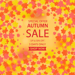 Autumn sale vector poster design set with colorful maple leaves element in background and sale discount text for fall season shopping promotion. 