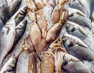 Pile of Freshly Caught  squids on ice on a Sea Market