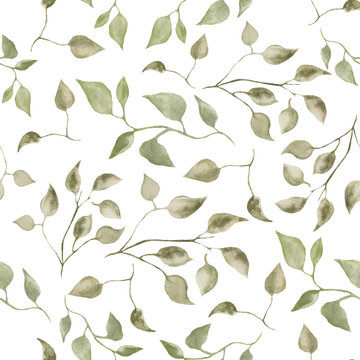 Watercolor seamless pattern with abstract different branches. Hand drawn nature illustration on white background. For interior, packaging design or print © Alla
