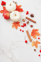 autumn natural decor on white marble background