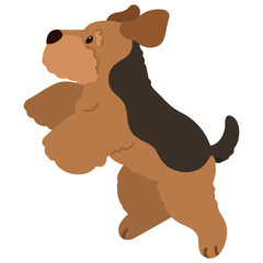 Simple and adorable Welsh Terrier illustration Jumping flat colored