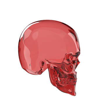 shiny glossy dark glass skull 3d render isolated on transparent background