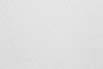 White paper texture.
