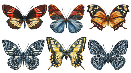 Fototapeta na wymiar Set of butterflies isolated on a white background. Watercolor Illustration, vintage style. Autumn colors