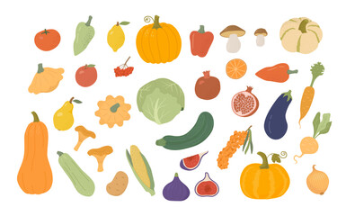 Set of cartoon organic farm vegetables and fruits on white background. Autumn harvest of pumpkin, zucchini, lemon, pear, garnet, figs, berry, pepper, mushrooms. Flat vector illustration