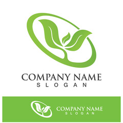 Green tree leaf nature logo images