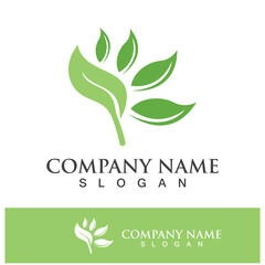 Green tree leaf nature logo images