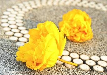  Flowers fall on the cement floor.texture background