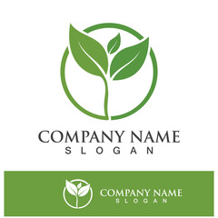 Green tree leaf nature logo images