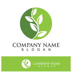 Green tree leaf nature logo images