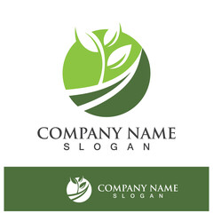 Green tree leaf nature logo images