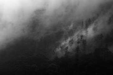 Artistic landscape of fog in the mountains