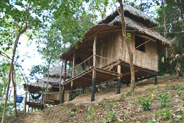 Fototapeta na wymiar A small rural house made of wood in Thailand. 