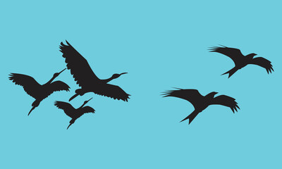Flying Birds Silhouette Collection 
