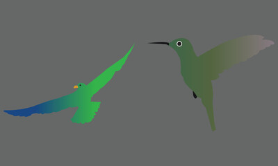 Flying Birds Vector Illustration 