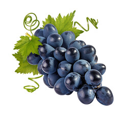 Fresh grapes isolated on white background