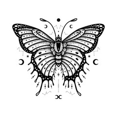 Butterfly Vector Illustration