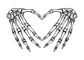 Hand Bones Heart Illustration