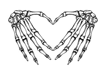 Hand Bones Heart Illustration