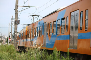 Obraz premium 流鉄流山線の電車