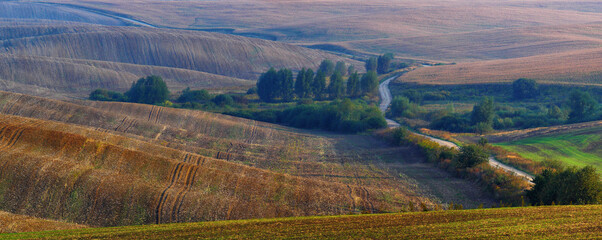 country road among the hills in the morning