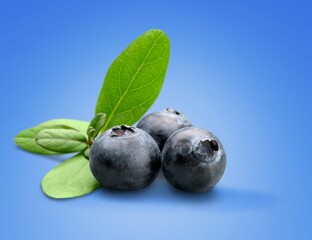 Tasty organic sweet fresh blueberry