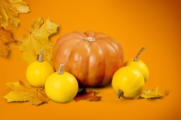 Set of autumn fresh colored pumpkins and leaves
