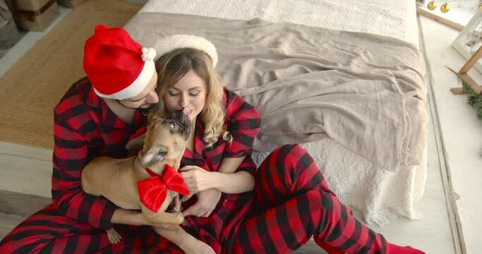 Couple in santa hats with French bulldog cuddle at home