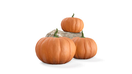 3d rendering halloween concept. Three Pumpkins on a Cream white background. Autumn themed Banner with copy-space. Halloween or autumn banner advertising. 3d render