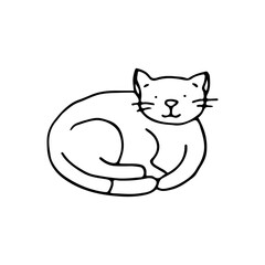 Cute cat lies curled up. Kind and fluffy pet. Doodle style.  Hand drawn. Vector illustration. Outline. The kitten is resting.