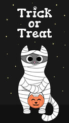 Cute gray cat in mummy costume on Halloween night. Trick or treat.
