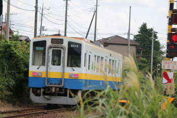 Obraz premium 関東鉄道常総線の気動車